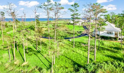 469 Ballast Point 81