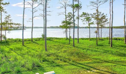 469 Ballast Point 81