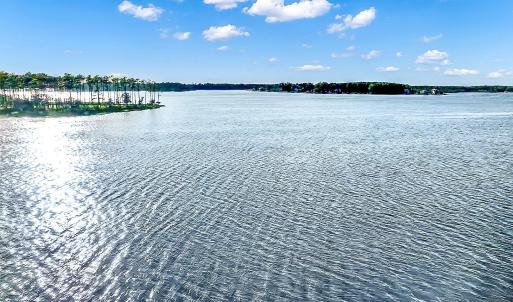 469 Ballast Point 81