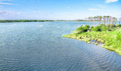 Broad Creek View