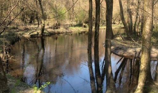 Creek