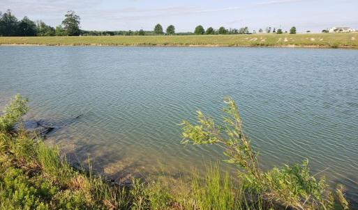 Avoca Pond View