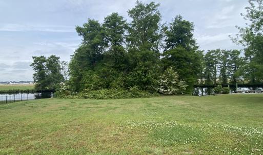 Close Up Back View. 167