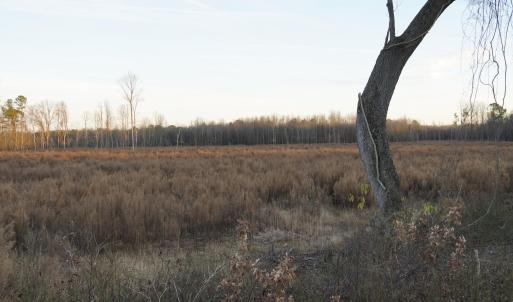 _DSC0251