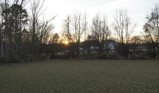 _DSC0256