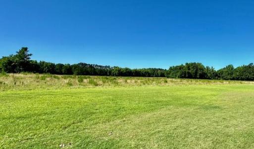 land