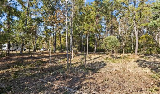 005 middle of lot