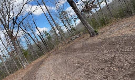 69619240268__E515902F-5482-4EAD-9421-9CE