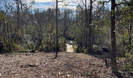 69557702696__6D49B2E3-30AF-4C07-AE46-3E1