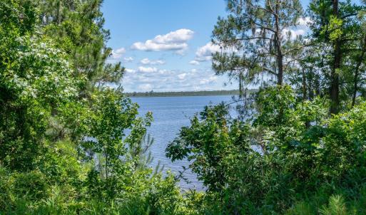 mls_1306 Green Springs-4