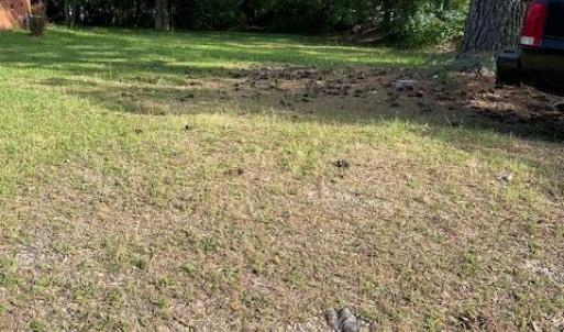 Raleigh lot