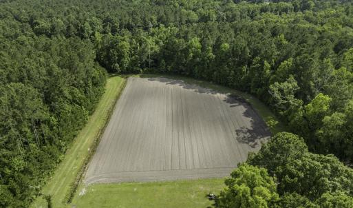 RockyPointFarm-10