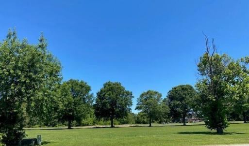 Toward fairway