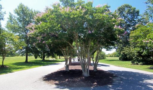 entrance to Mulberry Hill