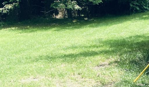 IMG-0017