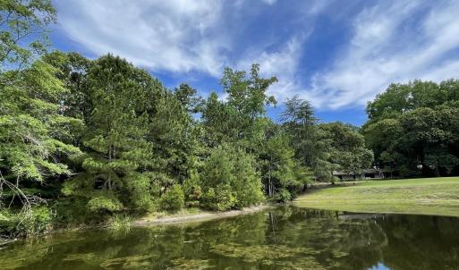 Pond