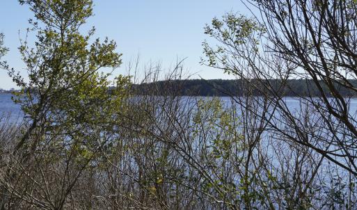 _DSC0323