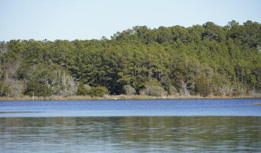 _DSC0348