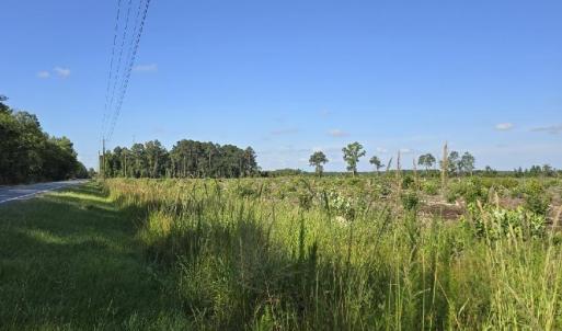 Open Land