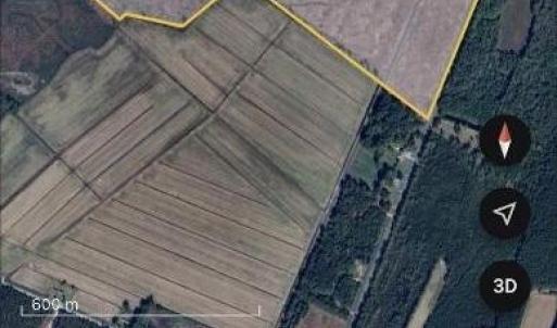 image1 (5)