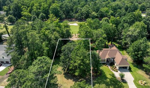 228sycamoreforest-1