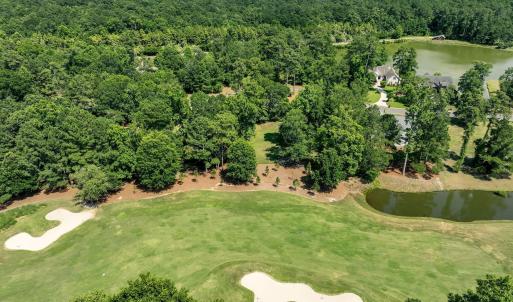 228sycamoreforest-4