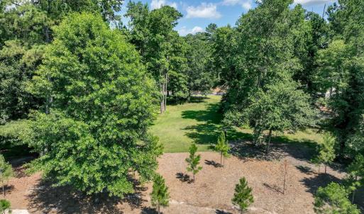 228sycamoreforest-10