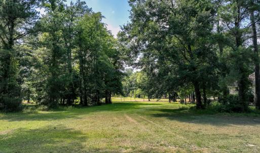228sycamoreforest-7