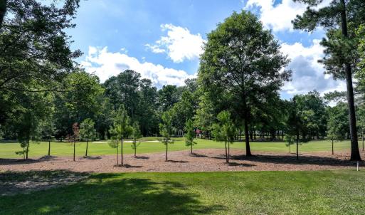 228sycamoreforest-8