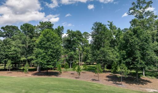 228sycamoreforest-11
