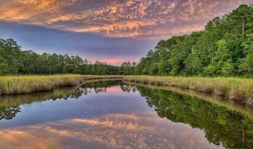 creek reflection