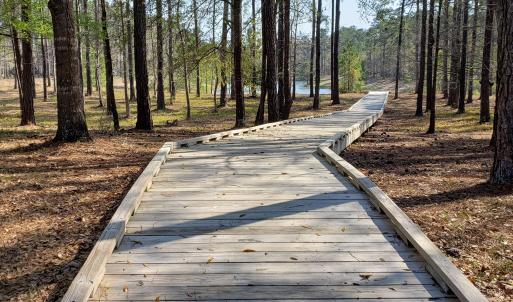 Boardwalk2