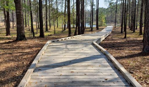 Boardwalk2
