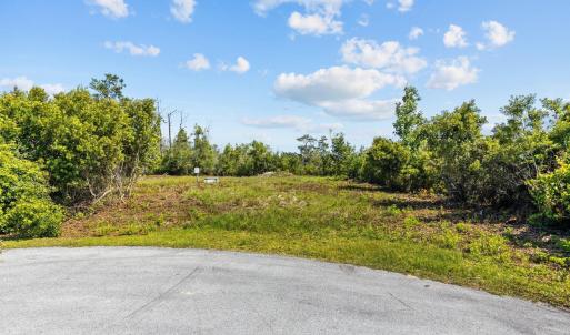 3-web-or-mls-_S3A9573