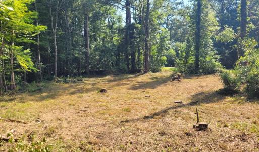Creekview Lot Pic #3