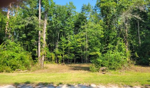 Creekview Lot Pic #2