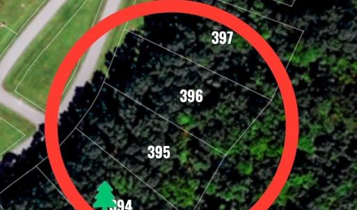 map 396