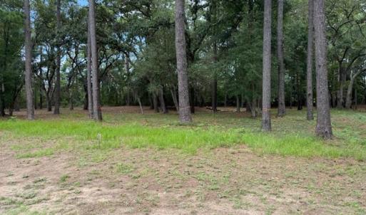 4002BarnesBluff1