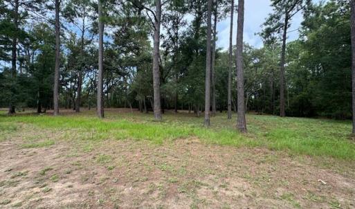 4002BarnesBluff3