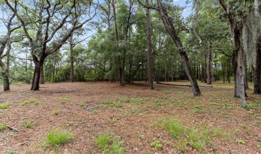 4-web-or-mls-BTS08548