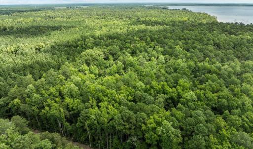 5-web-or-mls-DJI_0352