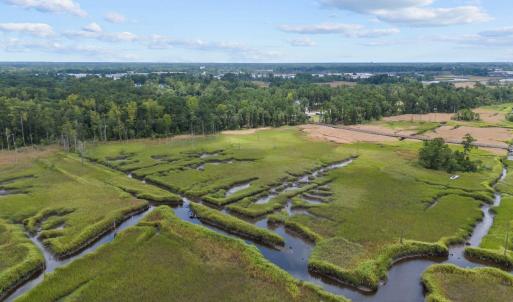 Palmetto towards Preservation