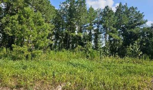 Lot 1 Durgantown