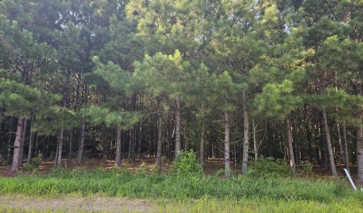 Lot  6 Durgantown