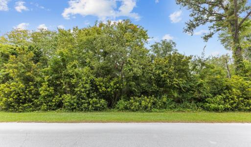 1-web-or-mls-1S3A0246