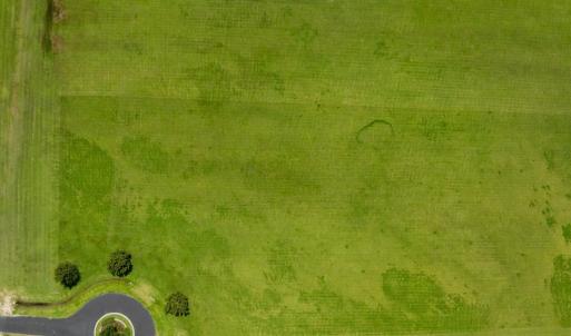 6-web-or-mls-DJI_0518