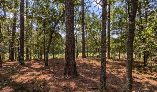 PXL_20240815_170758404