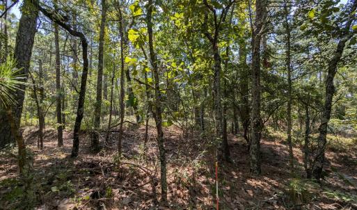 PXL_20240815_170925848