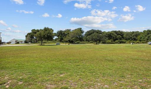 5-web-or-mls-1S3A1581