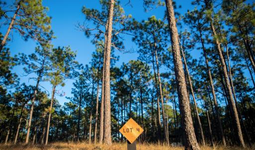 Screen Shot 2023-04-01 at 11.43.33 PM